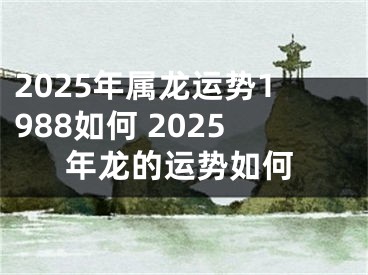 2025年属龙运势1988如何 2025年龙的运势如何