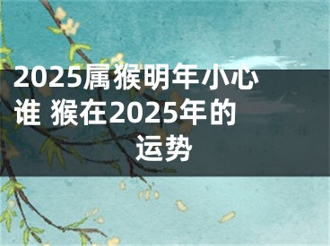 2025属猴明年小心谁 猴在2025年的运势