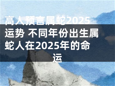 高人预言属蛇2025运势 不同年份出生属蛇人在2025年的命运