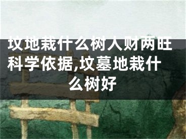 坟地栽什么树人财两旺科学依据,坟墓地栽什么树好