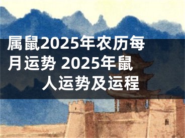 属鼠2025年农历每月运势 2025年鼠人运势及运程