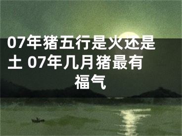 07年猪五行是火还是土 07年几月猪最有福气