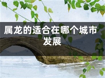 属龙的适合在哪个城市发展