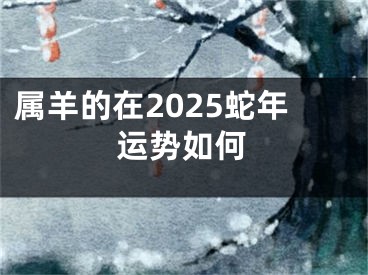 属羊的在2025蛇年运势如何