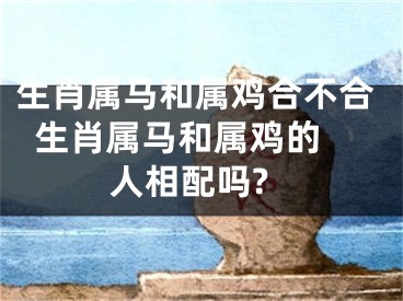 生肖属马和属鸡合不合  生肖属马和属鸡的人相配吗?