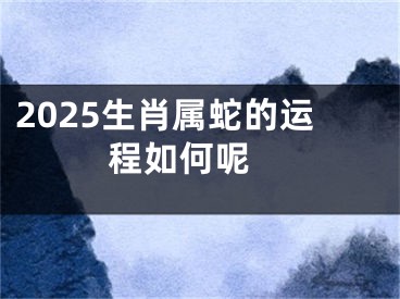 2025生肖属蛇的运程如何呢 