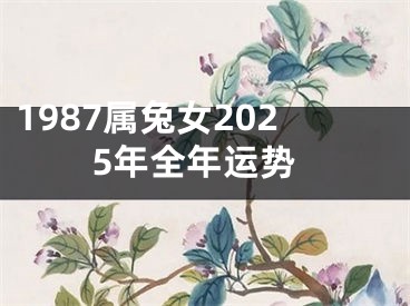1987属兔女2025年全年运势