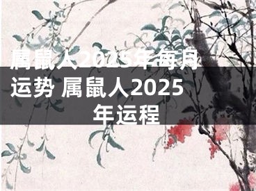 属鼠人2025年每月运势 属鼠人2025年运程