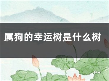 属狗的幸运树是什么树