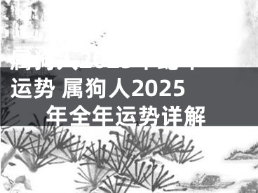 属狗人2025年蛇年运势 属狗人2025年全年运势详解