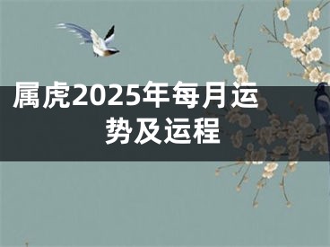 属虎2025年每月运势及运程