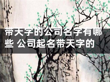 带天字的公司名字有哪些 公司起名带天字的