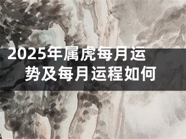 2025年属虎每月运势及每月运程如何
