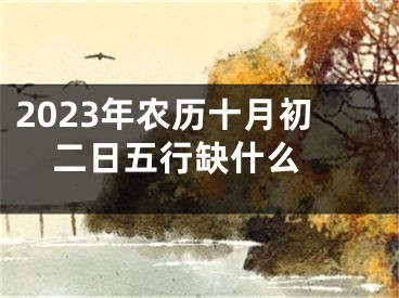 2023年农历十月初二日五行缺什么 