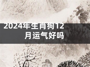2024年生肖狗12月运气好吗