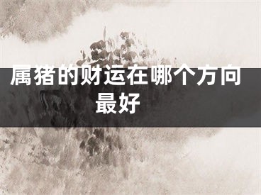 属猪的财运在哪个方向最好 