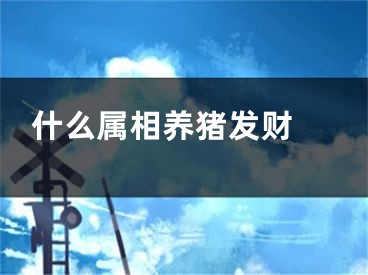 什么属相养猪发财 