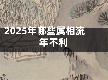 2025年哪些属相流年不利