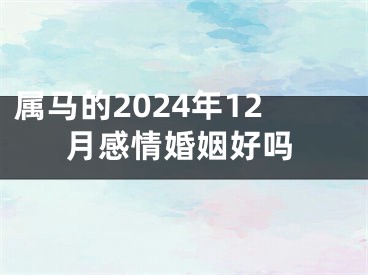 属马的2024年12月感情婚姻好吗