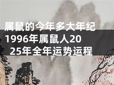 属鼠的今年多大年纪 1996年属鼠人2025年全年运势运程