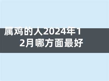 属鸡的人2024年12月哪方面最好