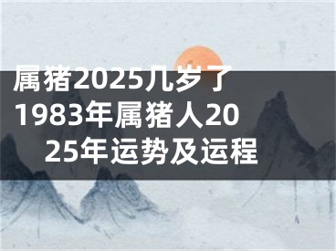 属猪2025几岁了 1983年属猪人2025年运势及运程