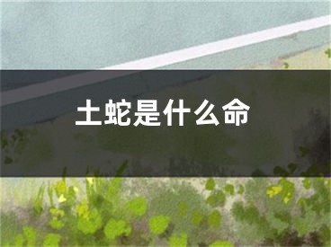 土蛇是什么命