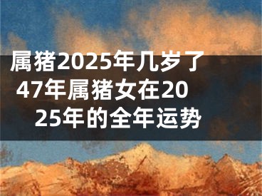 属猪2025年几岁了 47年属猪女在2025年的全年运势