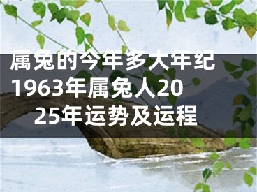 属兔的今年多大年纪 1963年属兔人2025年运势及运程