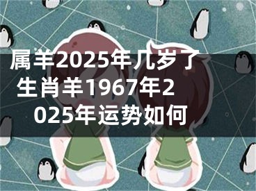 属羊2025年几岁了 生肖羊1967年2025年运势如何