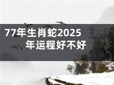 77年生肖蛇2025年运程好不好