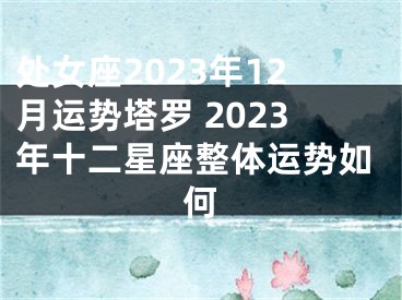 处女座2023年12月运势塔罗 2023年十二星座整体运势如何