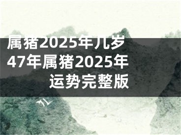 属猪2025年几岁 47年属猪2025年运势完整版