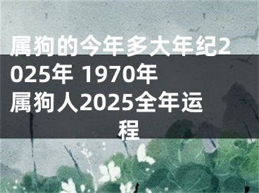 属狗的今年多大年纪2025年 1970年属狗人2025全年运程