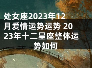 处女座2023年12月爱情运势运势 2023年十二星座整体运势如何