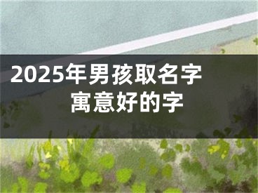 2025年男孩取名字寓意好的字