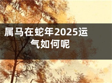 属马在蛇年2025运气如何呢 