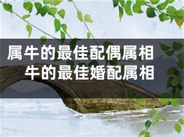 属牛的最佳配偶属相 牛的最佳婚配属相