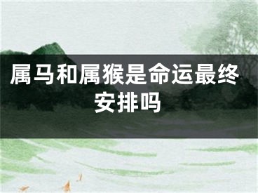 属马和属猴是命运最终安排吗