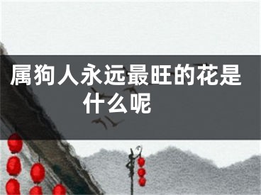 属狗人永远最旺的花是什么呢 