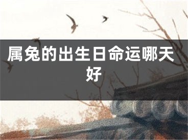 属兔的出生日命运哪天好