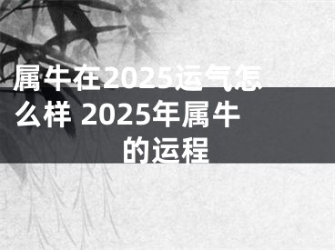 属牛在2025运气怎么样 2025年属牛的运程