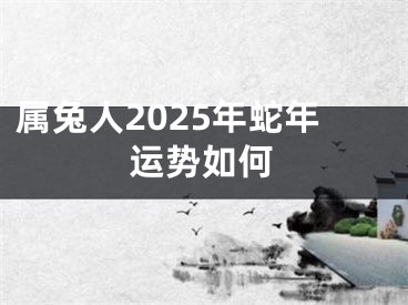 属兔人2025年蛇年运势如何