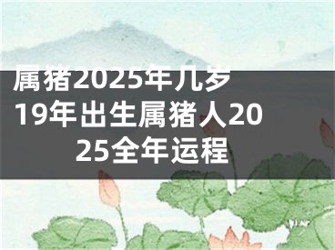 属猪2025年几岁 19年出生属猪人2025全年运程