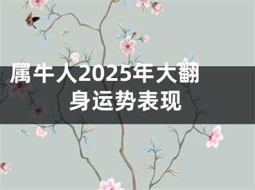 属牛人2025年大翻身运势表现