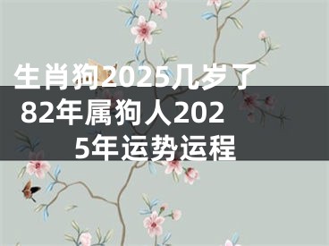 生肖狗2025几岁了 82年属狗人2025年运势运程