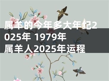 属羊的今年多大年纪2025年 1979年属羊人2025年运程