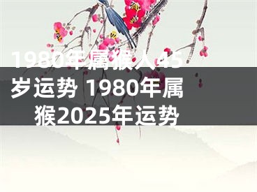 1980年属猴人45岁运势 1980年属猴2025年运势