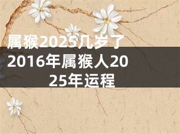 属猴2025几岁了 2016年属猴人2025年运程