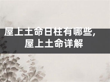 屋上土命日柱有哪些,屋上土命详解